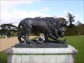 Image for Kingston Lacy Lions - Wimborne Minster, Dorset, UK