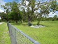 Image for Muse Cemetery - Muse, Florida, USA