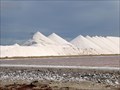 Image for Cargill Salt Production Facility - Bonaire, Caribbean Netherlands