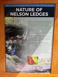 Image for Nature of Nelson Ledges - Nelson Ledges State Park - Portage County, OH