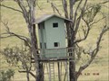 Image for Mograni/Bucketts Way Tree house, NSW, Australia