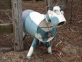 Image for Blue Cow - Walang, NSW, Australia