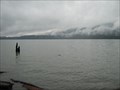 Image for Lake Quinault - Olympic Peninsula, Washington