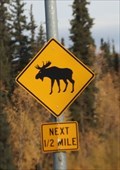 Image for Moose Crossing -- Ballaine Rd at Madcap Ln, Fairbanks AK