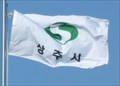 Image for City Flag  -  Sangju (&#49345;&#51452;&#49884;), Korea