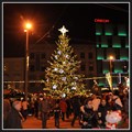 Image for Christmas Tree - Brno, Czech Republic