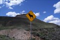 Image for Bighorn Sheep Crossing, Blue Mesa Res, Colo