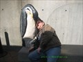Image for Penguins Bench, New England Aquarium - Boston, MA