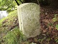 Image for Parish Boundary Stone, near Hall Farm, Lydford West Dartmoor.