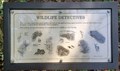 Image for Wildlife Detectives - Runestone Park - Heavener, OK