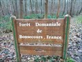 Image for Forêt domaniale de Bonsecours - Condé-sur-l'Escaut, France