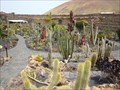 Image for Jardin de Cactus, Lanzarote, Spain