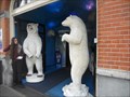 Image for Icebar Polar Bears - Amsterdam, Netherlands