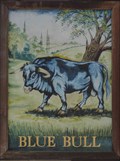 Image for Blue Bull - Grantham, Lincolnshire, UK.