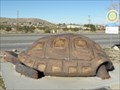 Image for Myrtle the Turtle - Joshua Tree CA
