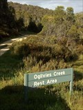 Image for Ogilvies Creek Rest Area, NSW, Australia