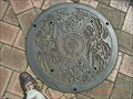 Image for Rain water manhole - Ichikawa City, JAPAN