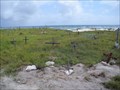 Image for Pet Cemetery - Baby Beach, Aruba