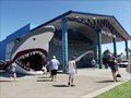 Image for Huge Shark False Entrance - Port Aransas, TX