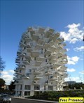 Image for PLUS BEAU(MOST BEAUTIFULL)-Arbre Blanc - Montpellier, France
