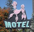 Image for The Pink Poodle, Surfers Paradise, Qld, Australia