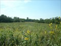 Image for Belmont Prairie - Downers Grove, IL