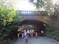 Image for Central Park Zoo Bridge  -  New York City, NY