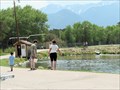 Image for Feed the Trout - Chalk Cliffs Fish Hatchery - Nathrop, Colorado, USA