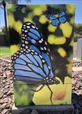 Image for Red-Spotted Purple - Maricopa, AZ