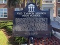 Image for Old Tarpon Springs High School