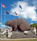 Image for Beaver - Beaverlodge, Alberta