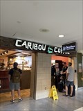 Image for Caribou Coffee - Concourse C, Denver International Airport - Denver, Colorado