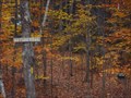 Image for Sargent Town Forest Nature Trail  -  Pittsfield, NH