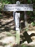 Image for Chestnut Top Trail (Schoolhouse Gap end) - Great Smoky Mountains National Park, TN