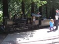 Image for Redwood Valley Railway