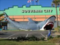 Image for Souvenir City Shark