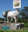 Image for Giant Bull at 3 Hermanas Restaurante, Costa Rica