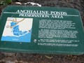 Image for Anchialine Ponds - Wiakaloa, HI