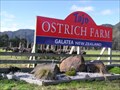 Image for Ostrich Farm. Galatea. Bay of Plenty. New Zealand.