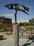 Image for Icarus Falling - Scottsdale Arizona