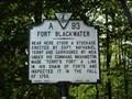 Image for Fort Blackwater
