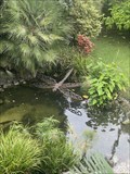 Image for Dragon Fly at Gibralter Botanic Gardens