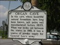 Image for Organ Cave