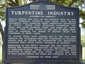 Image for Turpentine Industry