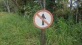 Image for Don't go stright ahead - Intervales Park, Brazil