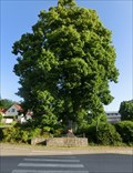 Image for Tree of the republic - Svratka, Czech Republic