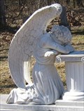 Image for Weeping Angel - Gerald, MO