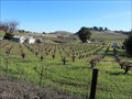 Image for Viano Winery - Martinez, CA