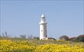 Image for Paphos Lighthouse, Paphos Archaeological Park, Nea Pathos, Cyprus