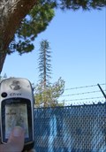 Image for City Park Cell Tower - Lancaster, CA